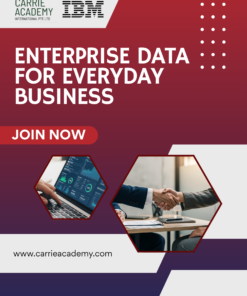 Enterprise Data for Everyday Business (IBM)