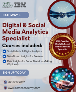 Digital & Social Media Analytics Specialist